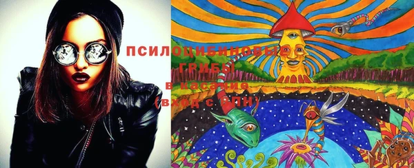 бошки Россошь