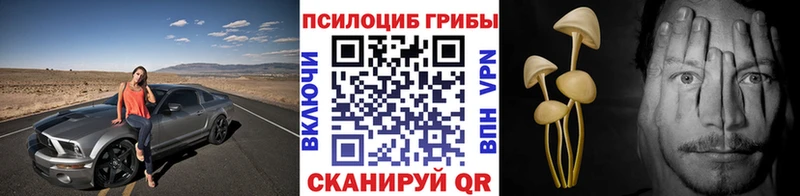 Псилоцибиновые грибы мицелий  Хадыженск 